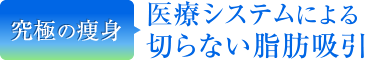 究極の痩身 医療システムによる切らない脂肪吸引