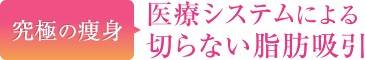 究極の痩身 医療システムによる切らない脂肪吸引