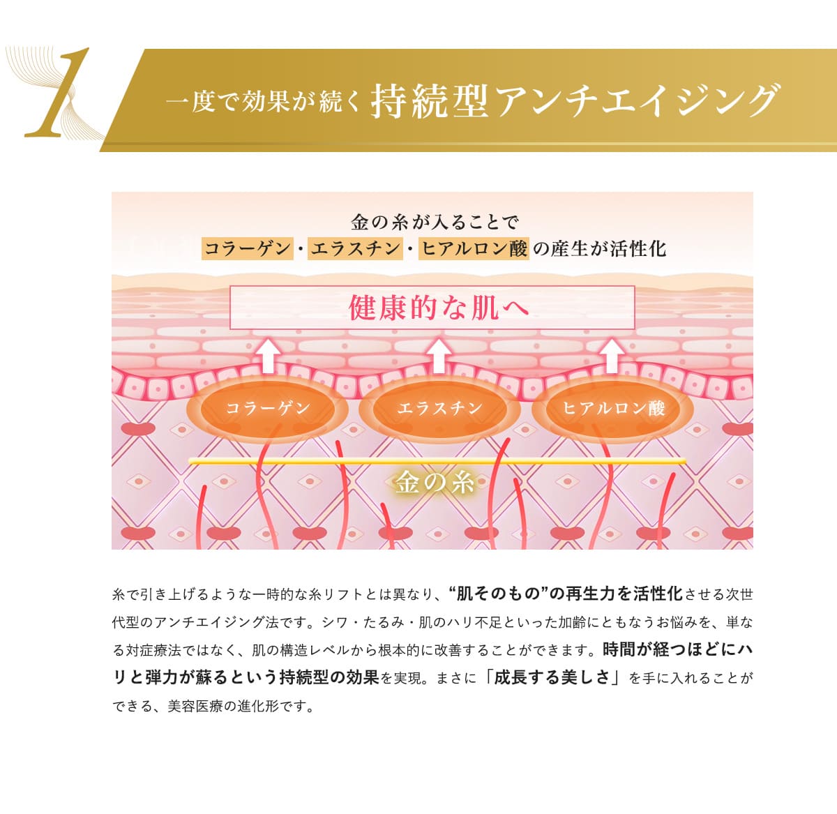 一度で効果が続く持続型アンチエイジング
