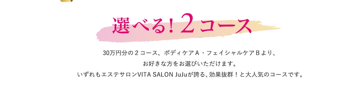 選べる！2コース