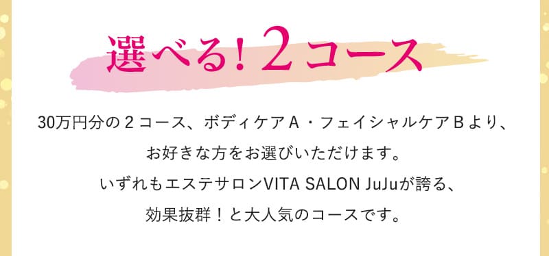 選べる！2コース